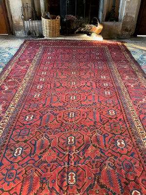 Uzbek antique oversize Bukhara Beshir carpet (515 x 240cm)