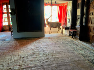 French Savonnerie oversize carpet (730 x 450cm)