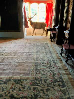 French Savonnerie oversize carpet (730 x 450cm)