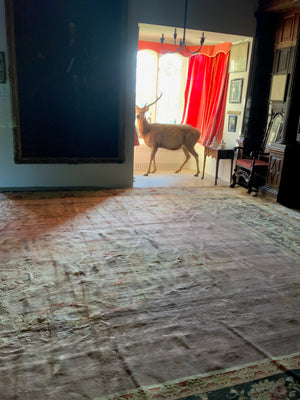 French Savonnerie oversize carpet (730 x 450cm)