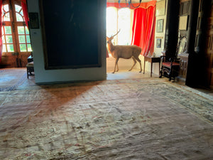 French Savonnerie oversize carpet (730 x 450cm)