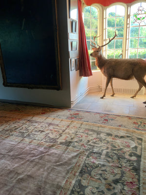 French Savonnerie oversize carpet (730 x 450cm)