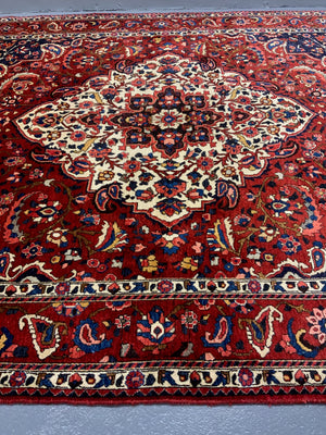 Bactiari / Bakhtiar medallion carpet (305 x 212cm)