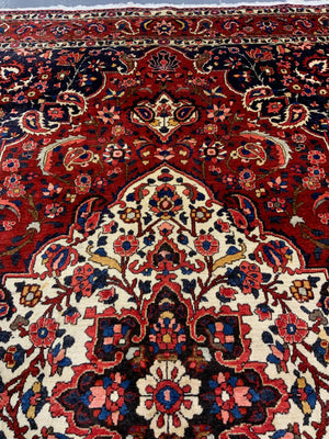 Bactiari / Bakhtiar medallion carpet (305 x 212cm)
