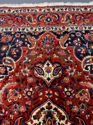 Bactiari / Bakhtiar medallion carpet (305 x 212cm)