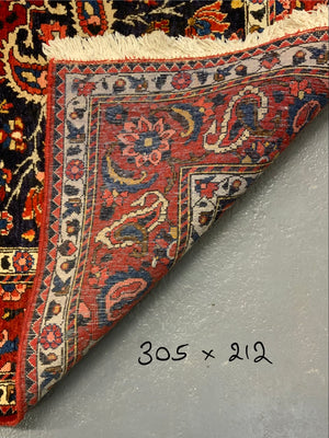 Bactiari / Bakhtiar medallion carpet (305 x 212cm)