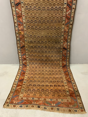 Eastern Kurdistan antique kelleigh (353 x 128cm)