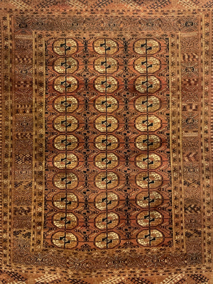 Yomut Tekke Turkmen rug (189 x 140cm)