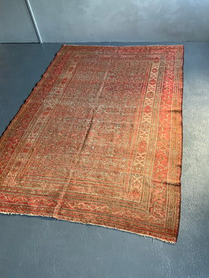 Khorasan antique carpet (271 x 182cm)