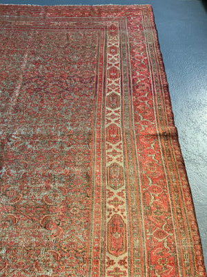 Khorasan antique carpet (271 x 182cm)