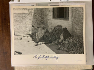 Photographic collection of North Indian rug making in 1940s