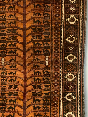 Balouch rug with a camel train (193 x 112cm)