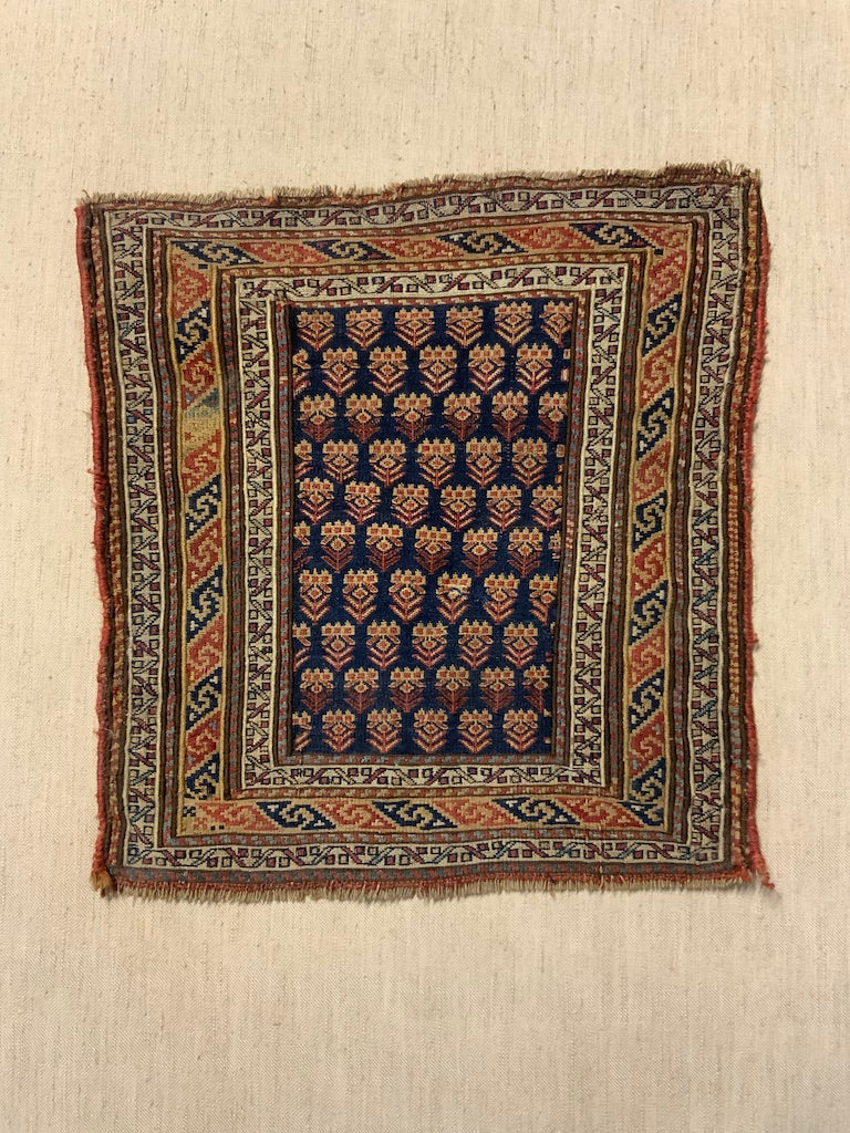 Caucasian Shah Savan antique soumac bagface (55 x 50cm)