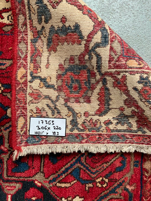 Bactiari carpet with medallion design (306 x 220cm)