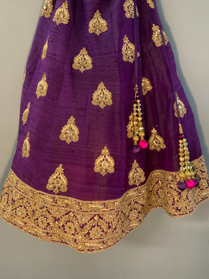 Indian ladies wedding costume (?) [2]