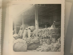 Photographic collection of North Indian rug making in 1940s