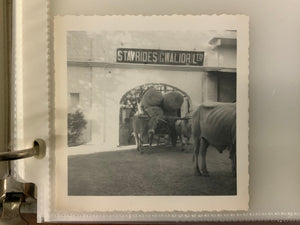 Photographic collection of North Indian rug making in 1940s