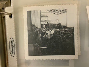 Photographic collection of North Indian rug making in 1940s