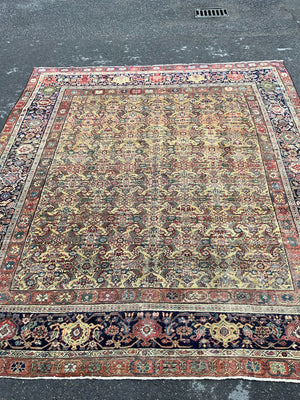 Sarouk Feraghan antique carpet (374 x 321cm)