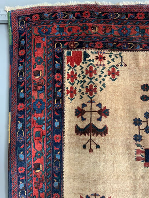 Afshar antique cream field rug (171 x 157cm)