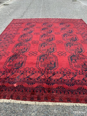 Afghan Ersari Carpet (372 X 302Cm) Carpet