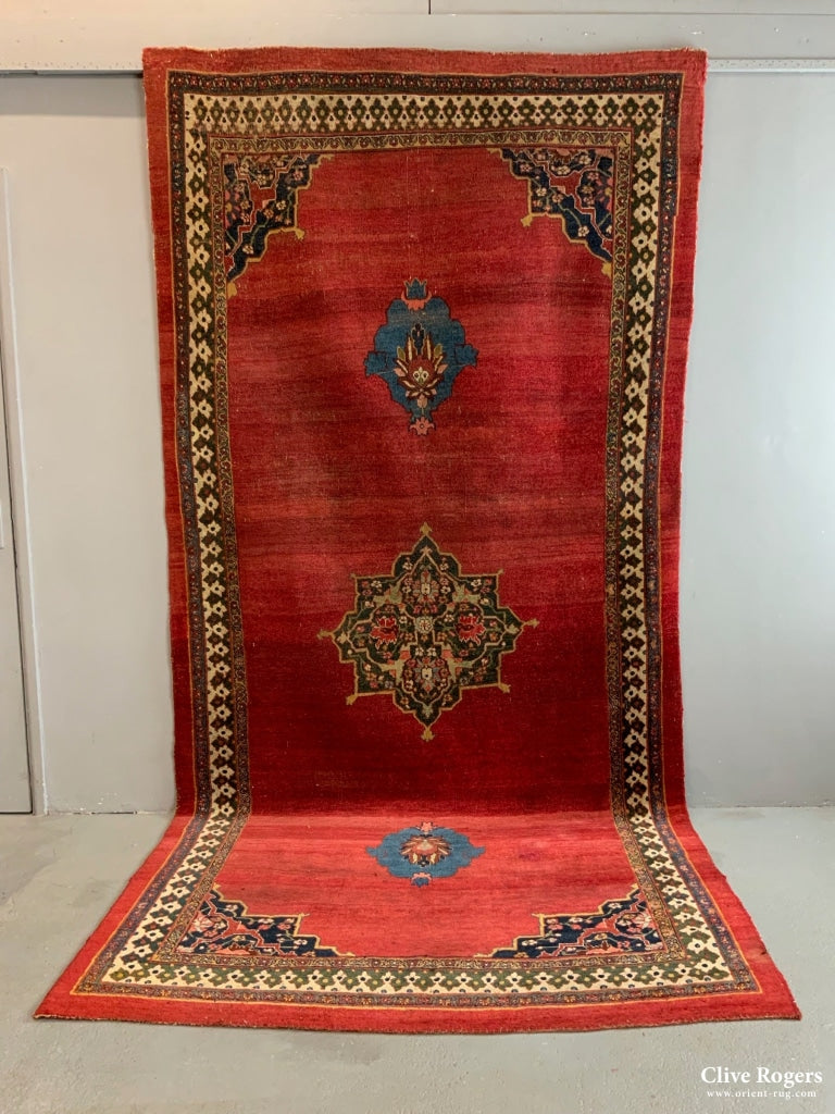 Bidjar Antique Carpet (344 X 168Cm)