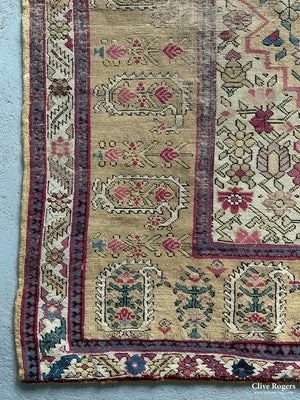 Carpet (500 X 220Cm Approx)