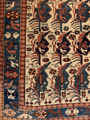 Caucasian Seychour Or Derbend Rug Early 20Th Cent Rug