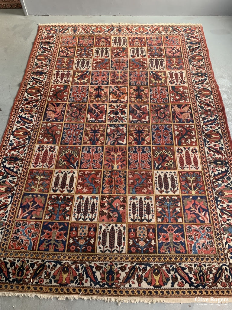 Persian Mahal Bactiari Carpet Carpet
