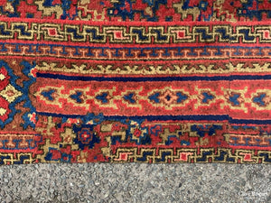 European Oversize Carpet (641 X 484Cm)