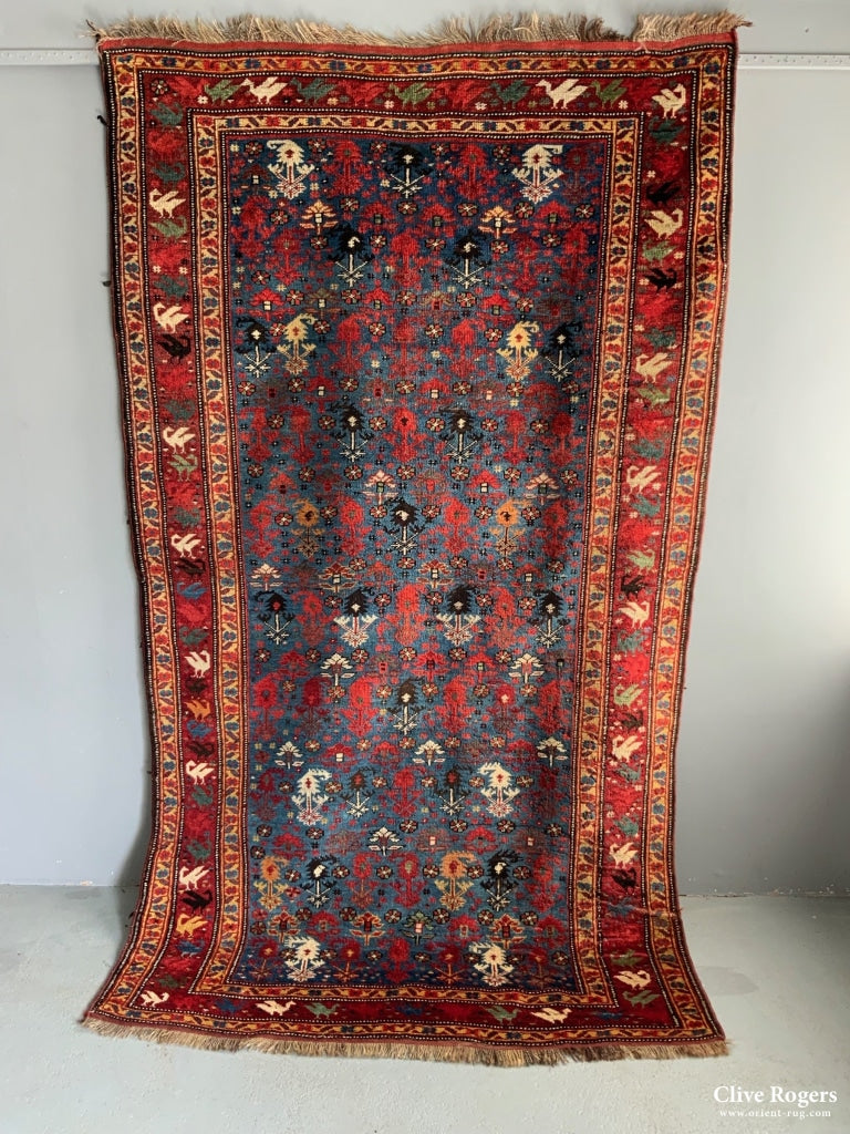 Shiraz Rug (274 X 161Cm) Rug
