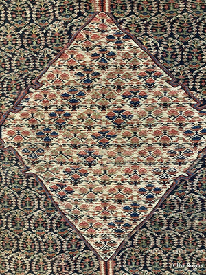 Persian Fine Senneh Kilim Late 19Th Cent Kilim