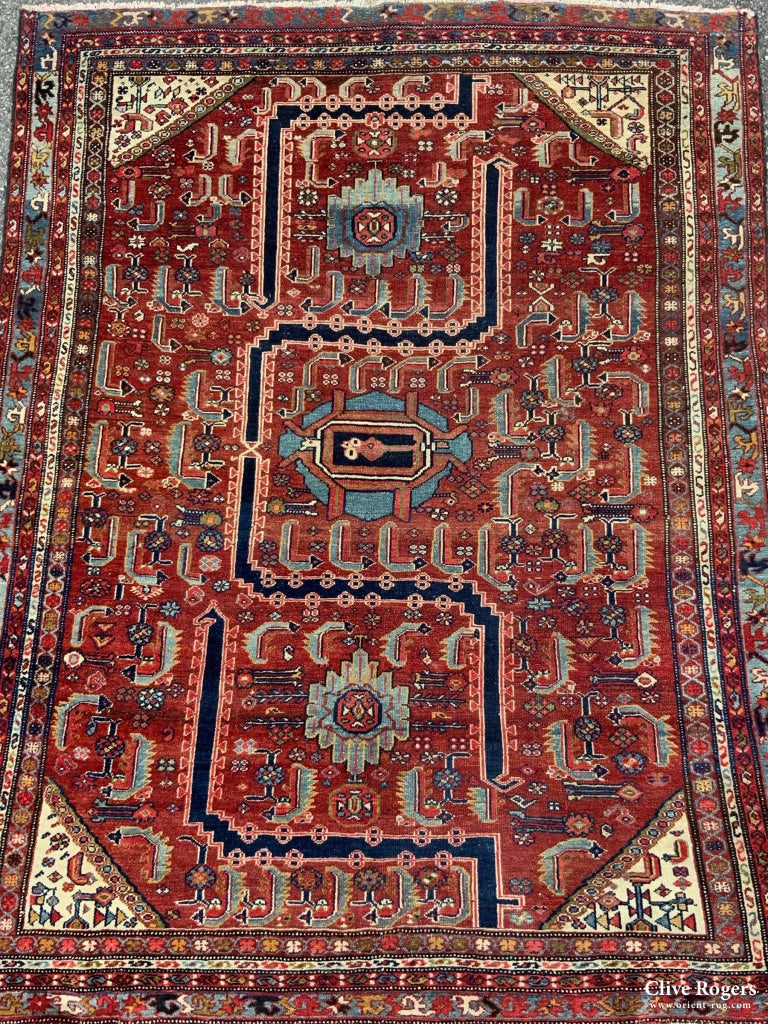 (164 X 127Cm)