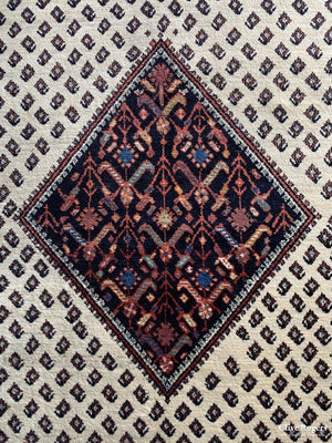 Persian Hamadan Carpet Mid Cent Carpet