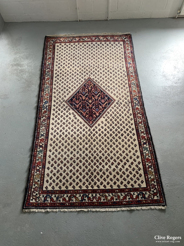 Persian Hamadan Carpet Mid Cent Carpet