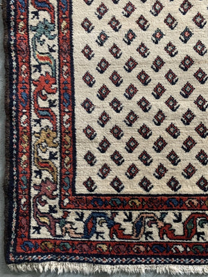 Persian Hamadan Carpet Mid Cent Carpet