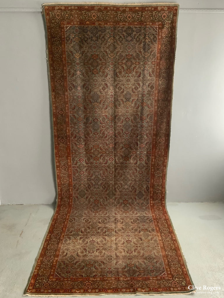 Antique Indian Peristan Carpet (380 X 145 Cm) Carpet