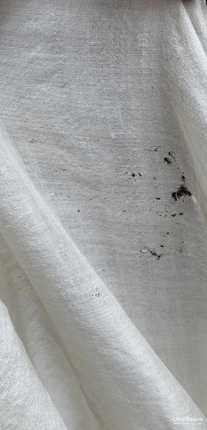 Kashmir Plain Jamawar Shawl (Af) Circa 1850 (350 X 160Cm)