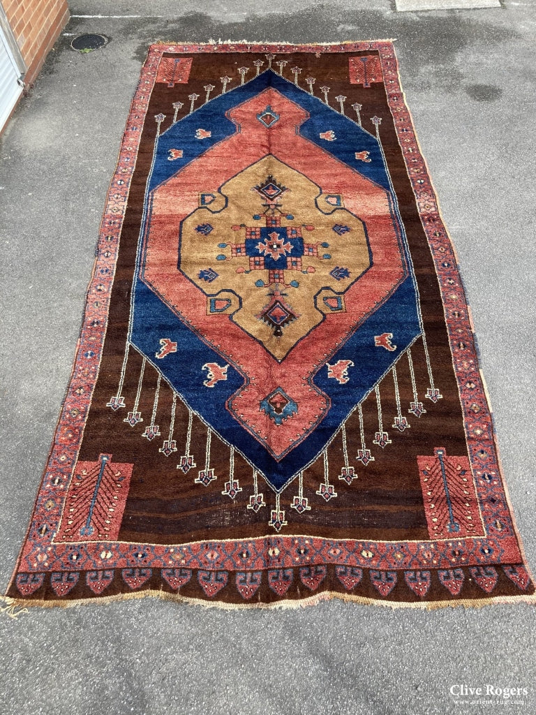 Kurdish Iraqi Kelleigh Long Carpet Carpet