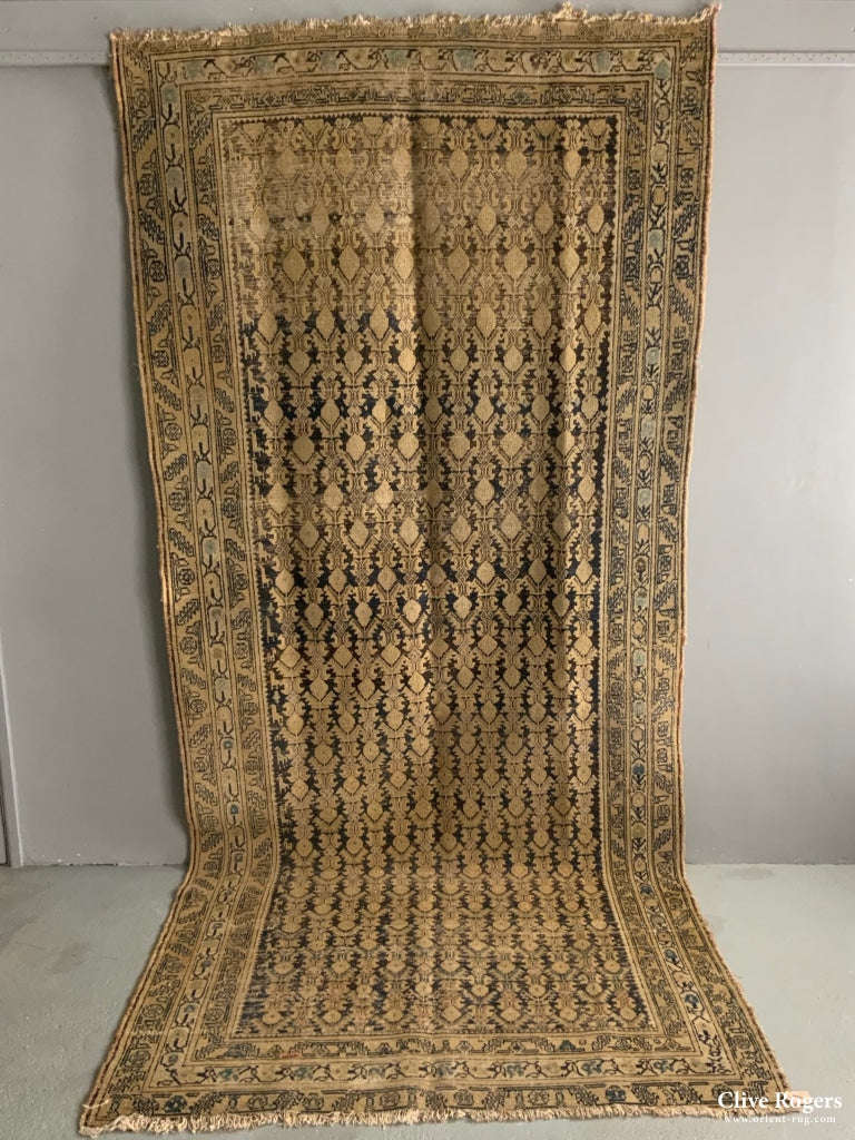 Saraband Malayer Pale Colour Long Carpet (350 X 155Cm) Carpet